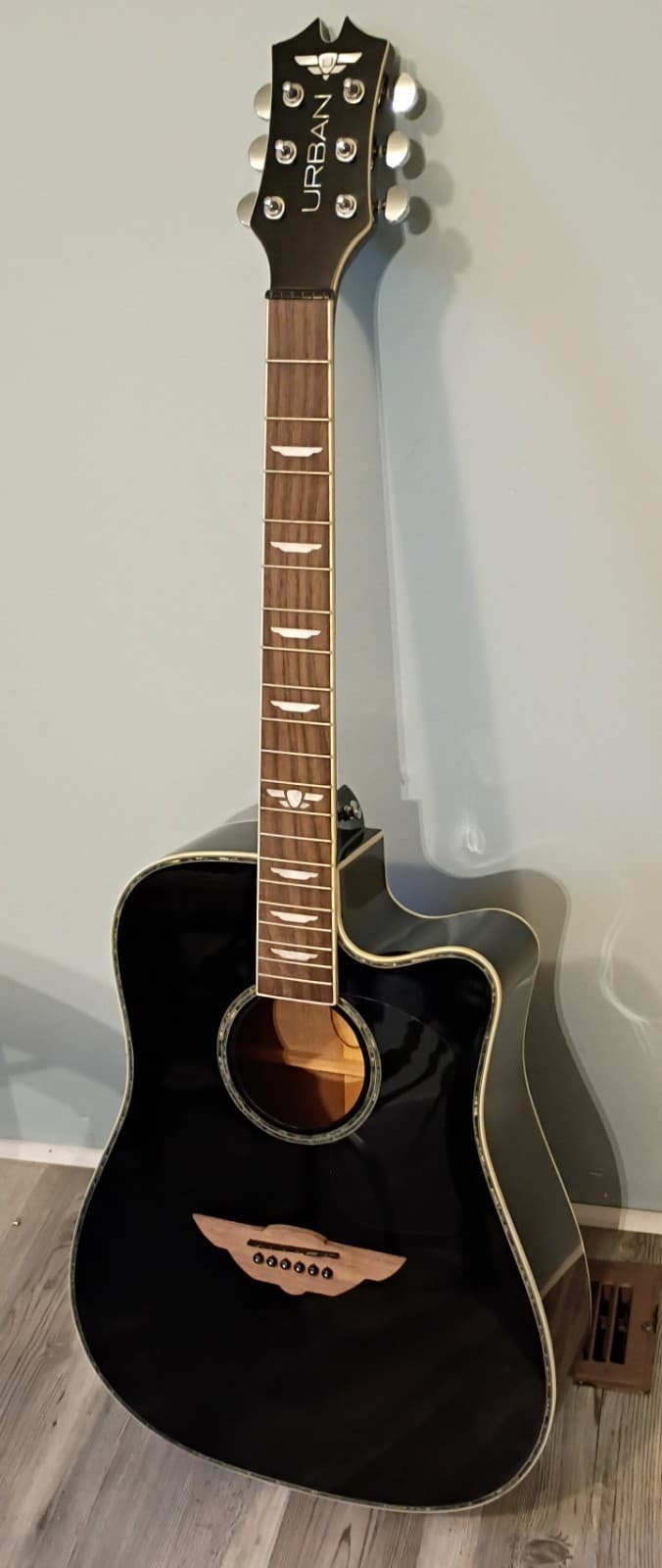 acoustic guitar used