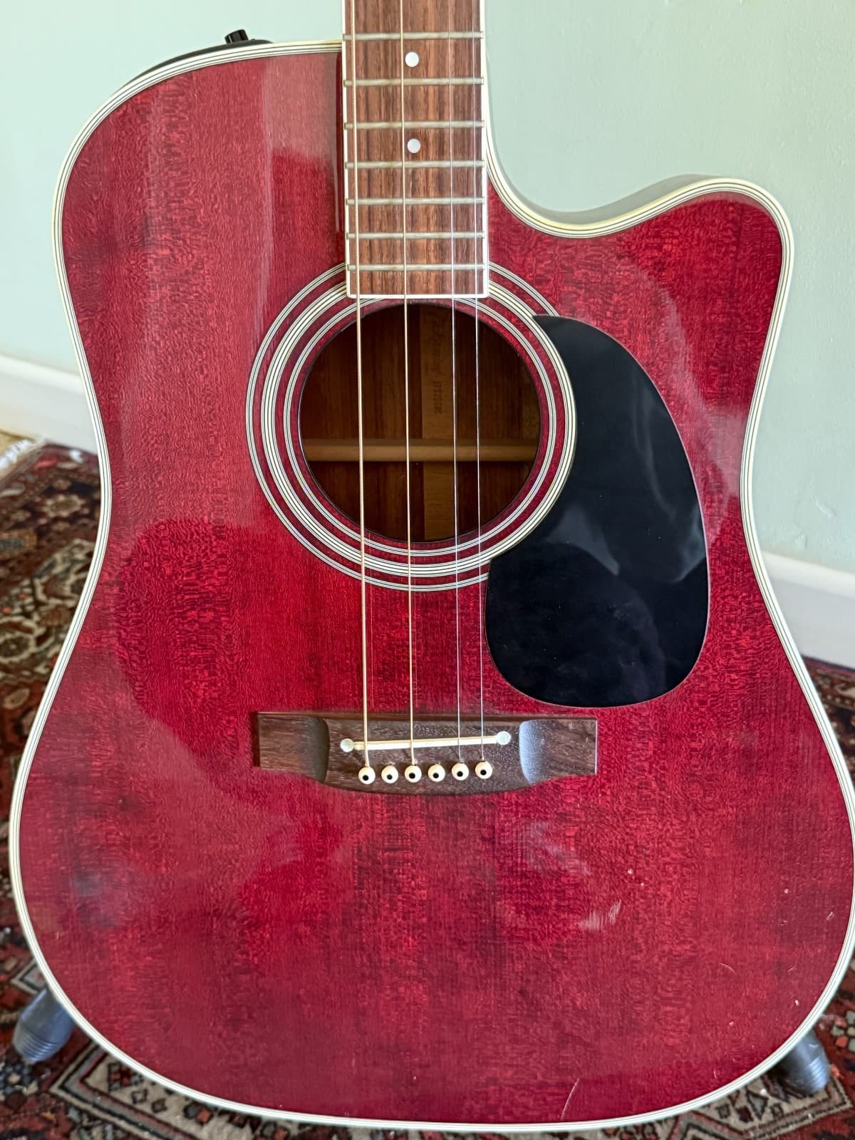 Takamine Acoustic Guitar EF325SRC