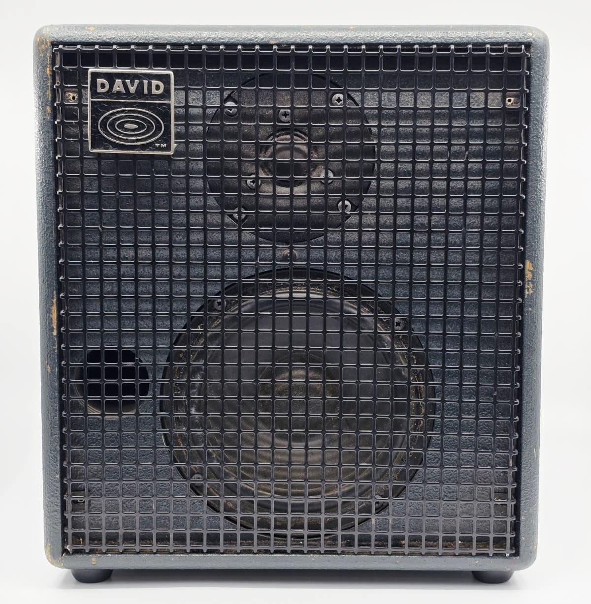 Schertler DAVID 80W RMS Swiss Made Acoustic Amplifier with Original Bag