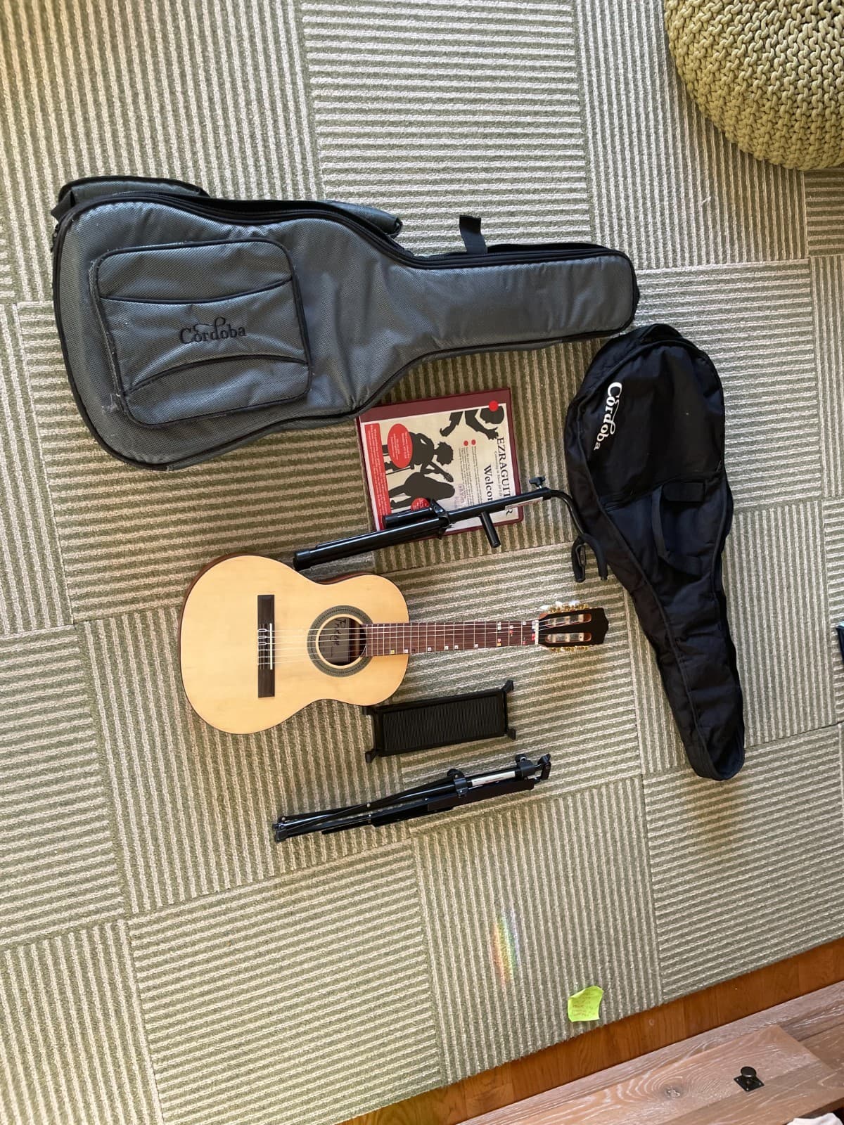 Kids Protege Guitar with Guitar stand, pedal, case, music book,and music stand