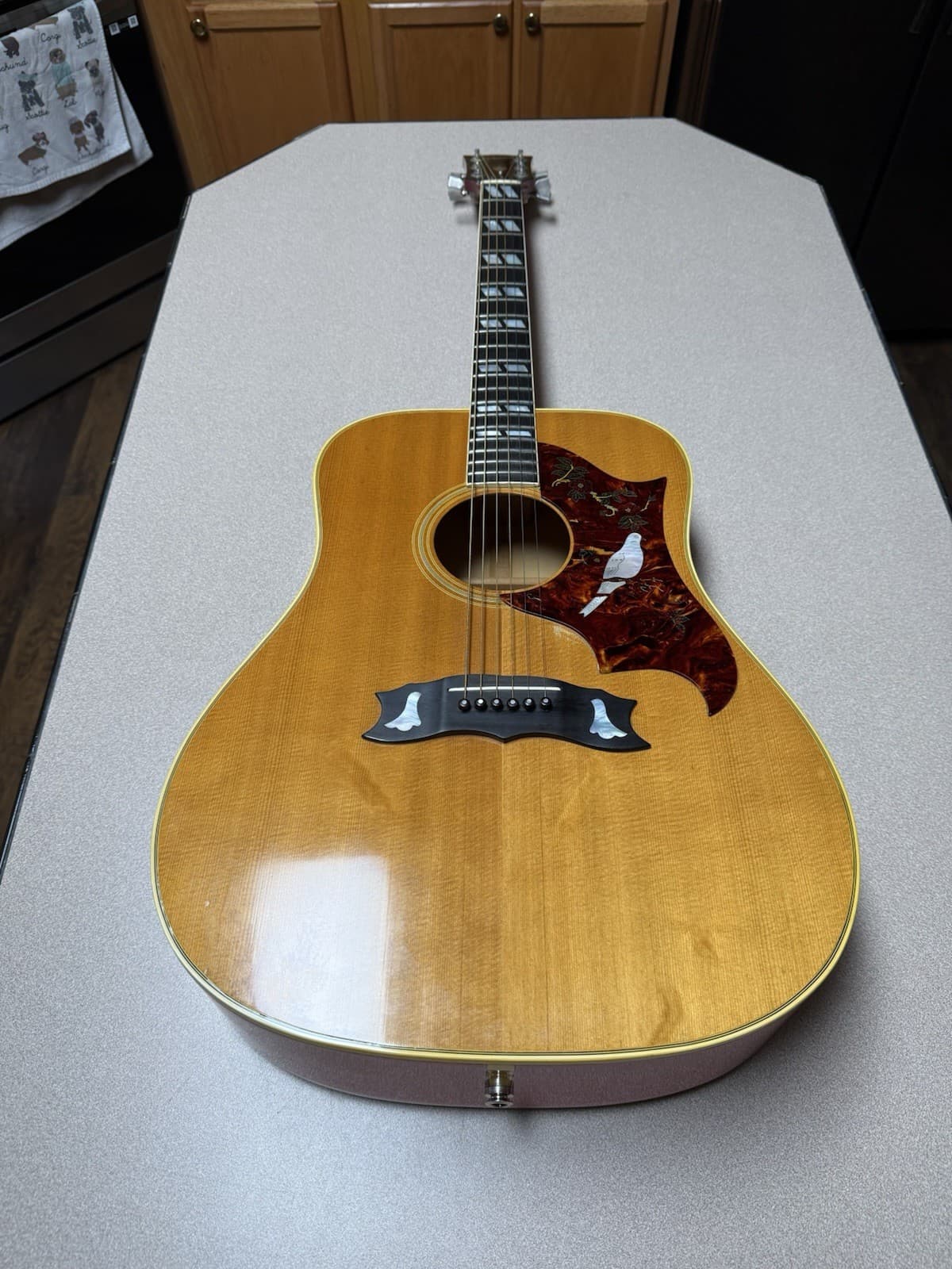 1974 Gibson Dove Custom