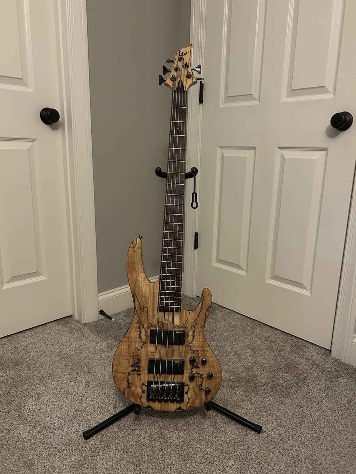 ESP LTD 5-String Electric Bass Guitar