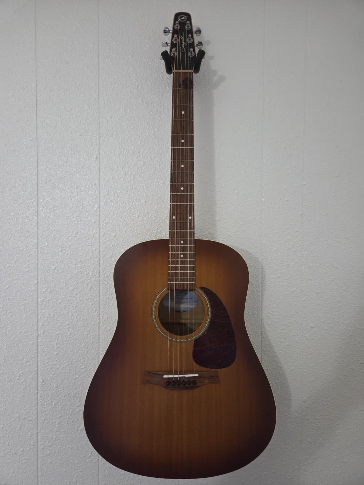 Seagull Entourage Acoustic Guitar