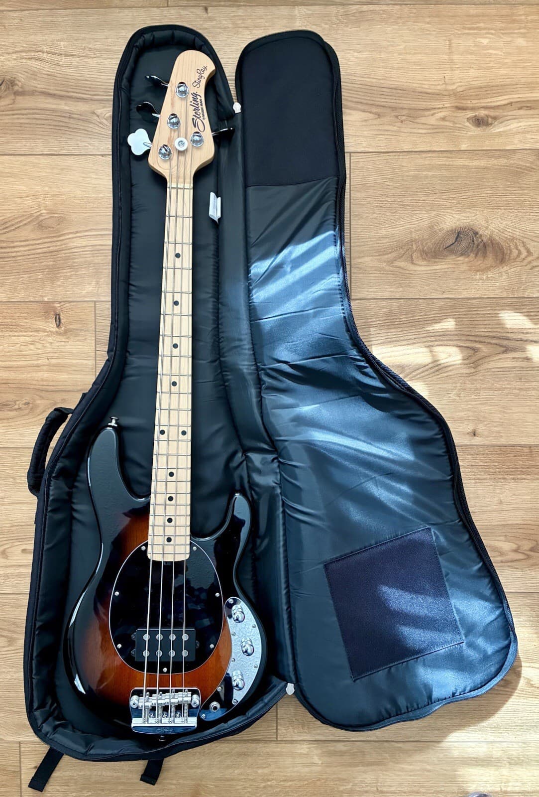 MINT STING RAY MUSIC MAN STERLING SHORT SCALE BASS GUITAR RARE! HARD TO FIND