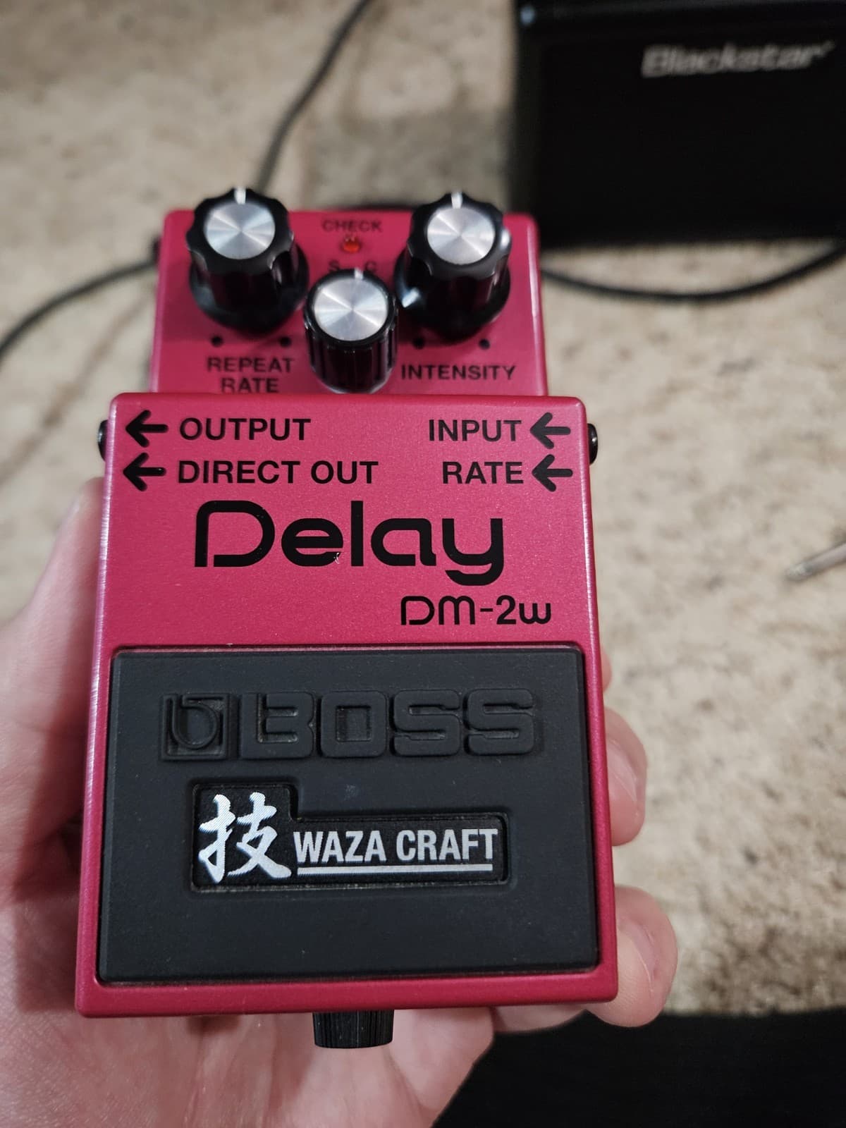 BOSS DM-2W Waza Craft Analog Delay Pedal for Electric Guitar & Bass