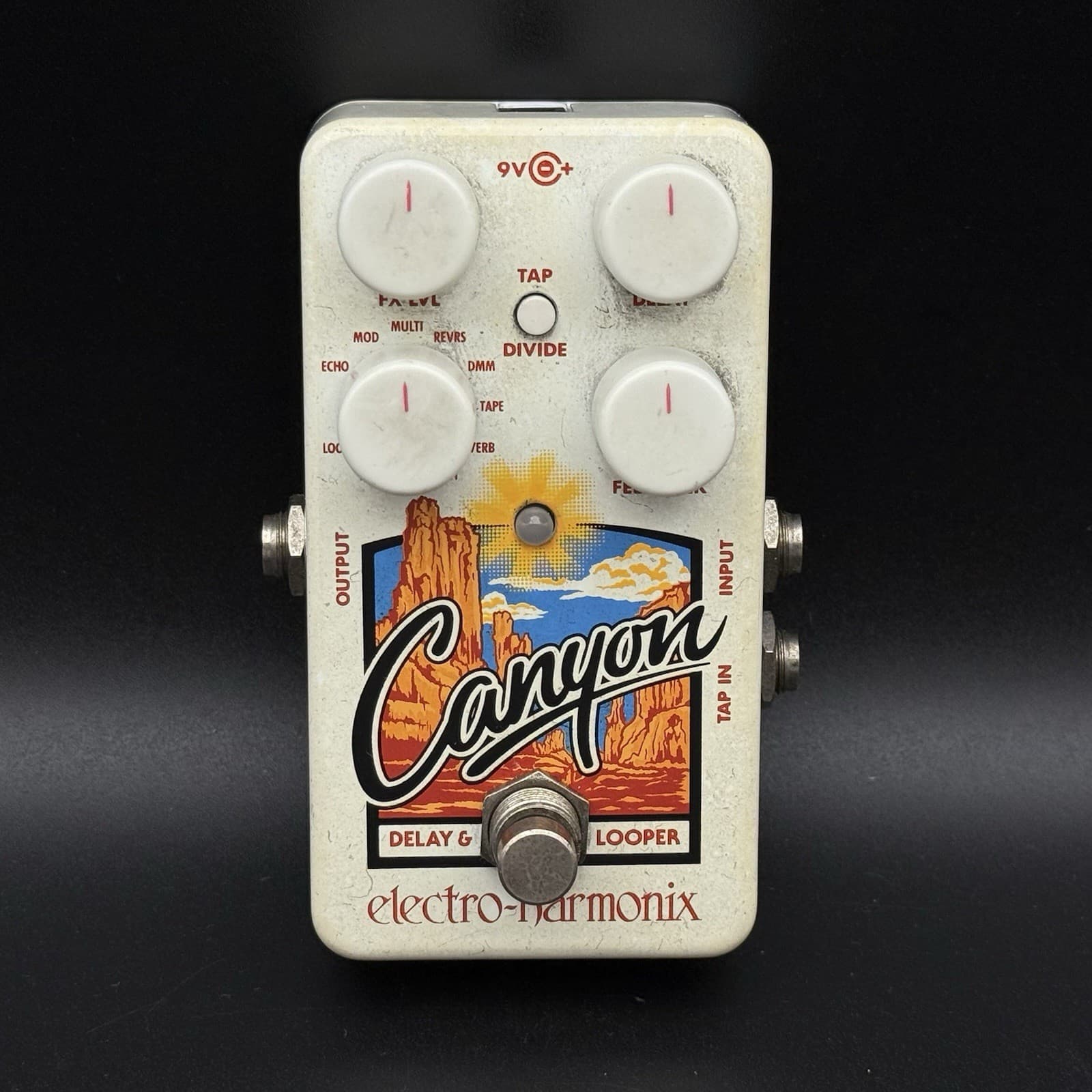 Electro-Harmonix Canyon Delay and Looper Guitar Pedal