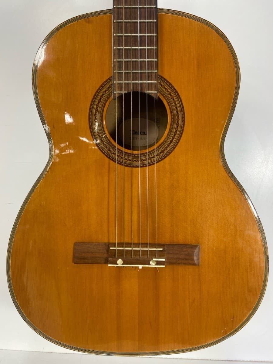 ACOUSTIC GUITAR (P03062372)