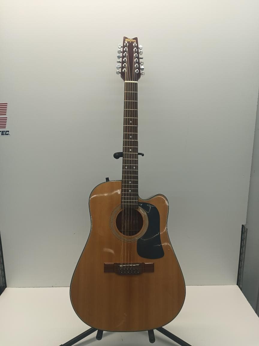 WASHBURN GUITARS 12 STRING ACOUSTIC ELECTRIC (P23013632)