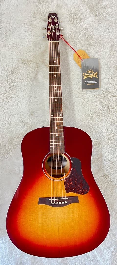 Seagull Entourage Autumn Burst Dreadnought Size Solid Top Acoustic Guitar 046492