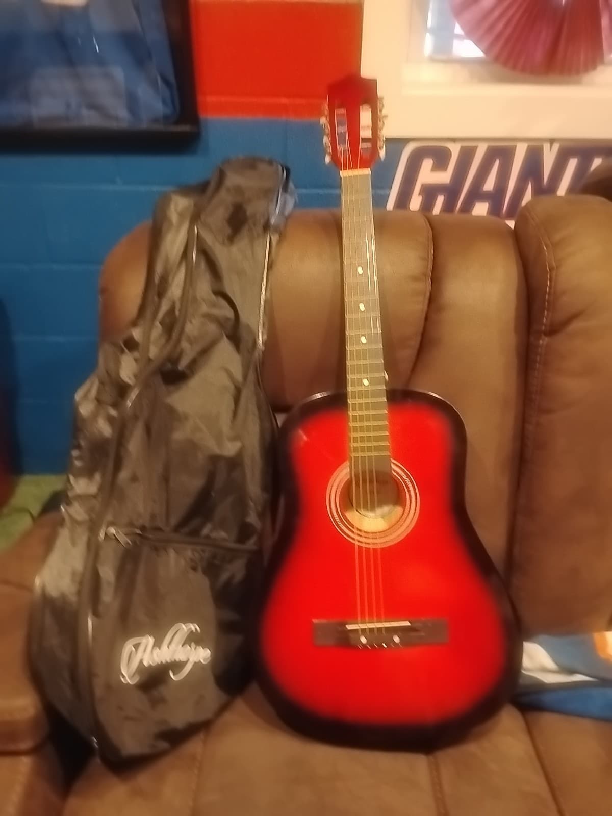 Acoustic Guitar And Bag