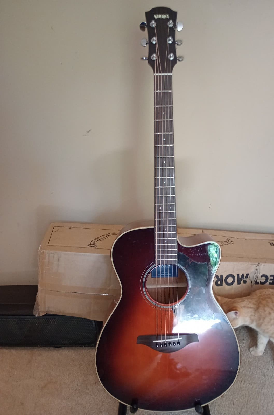 Yamaha AC1M Grand Auditorium Acoustic Guitar A Series Brown 6-String