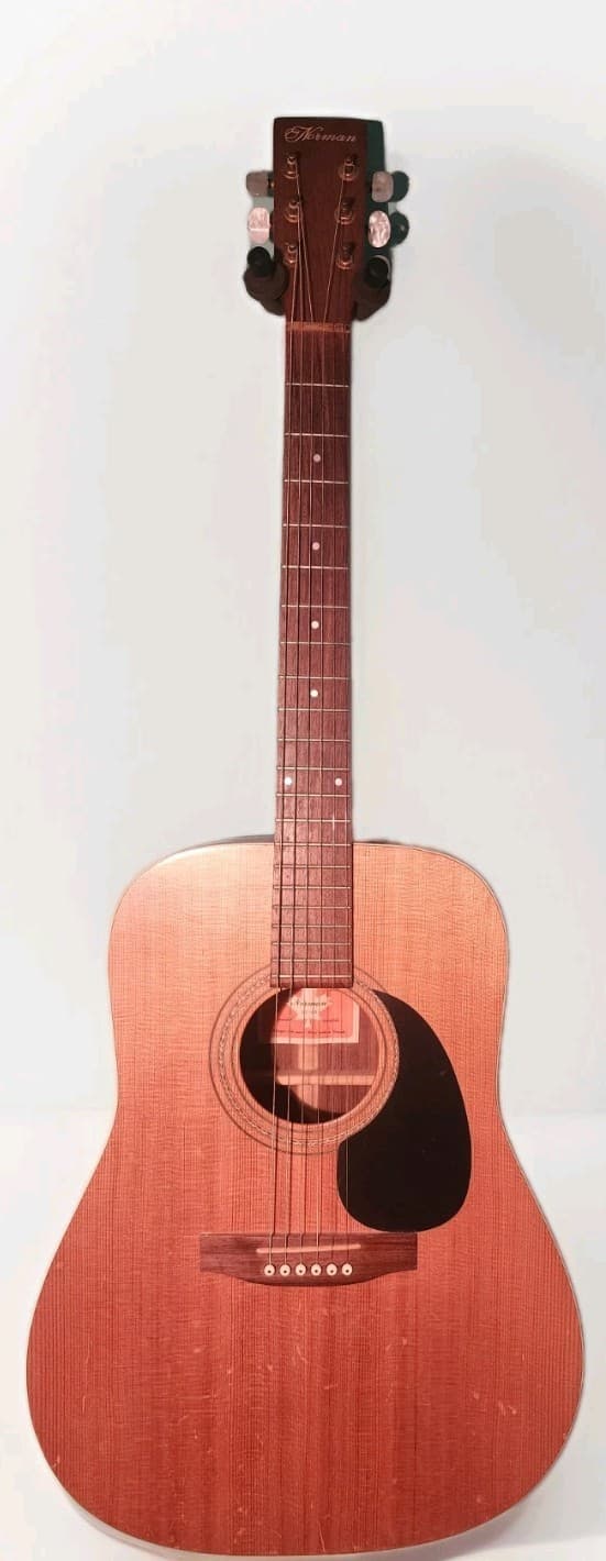 Norman/Godin ST68 Acoustic Guitar