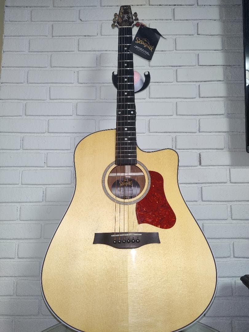 Seagull Maritime SWS CH CW Presys II w/ ROAD RUNNER CASE Exceptional condition.