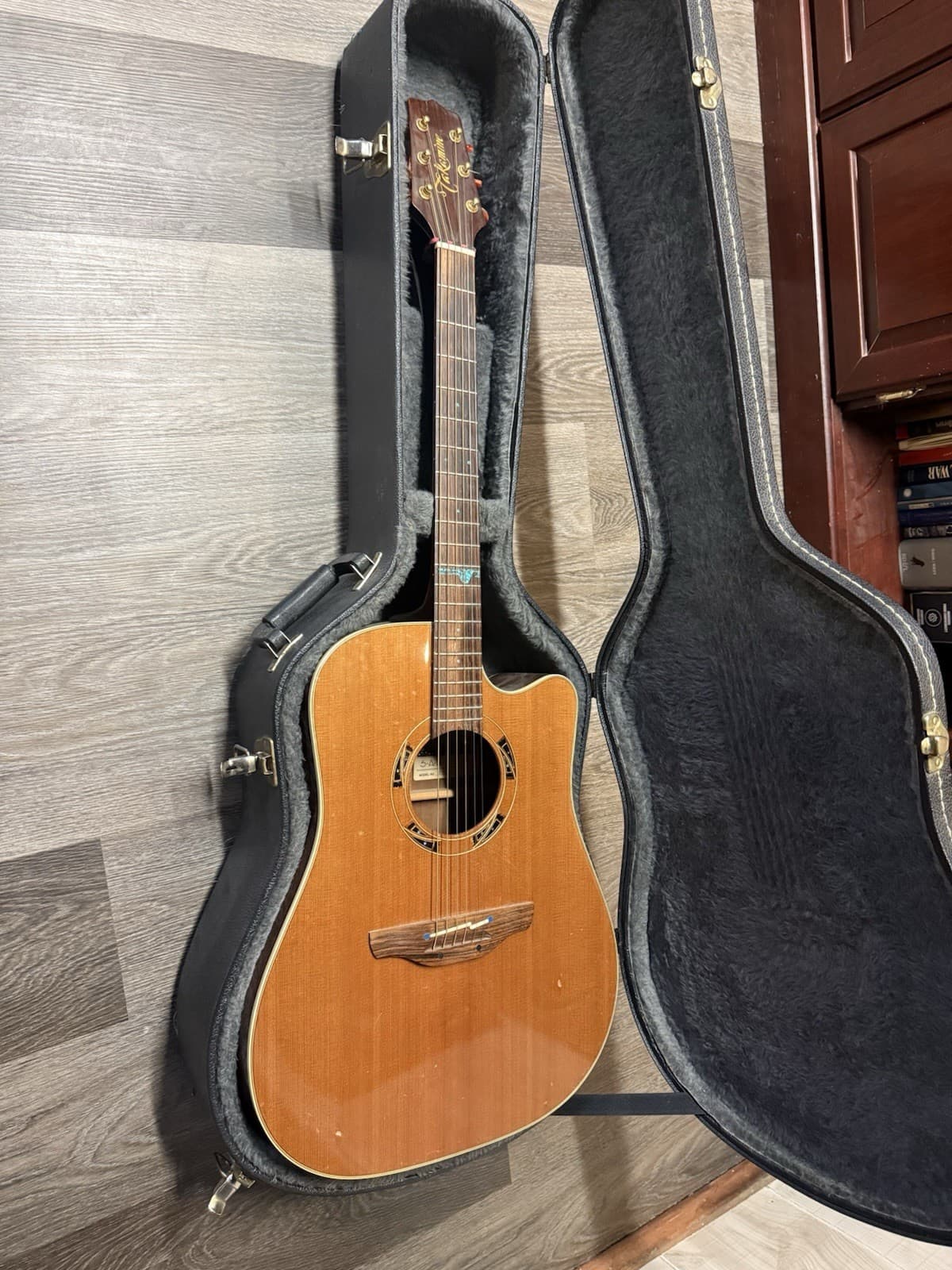 Takamine Guitar