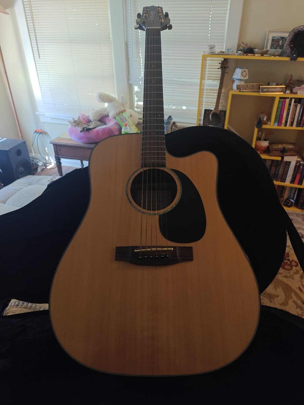 Takamine Guitar G Series 340C