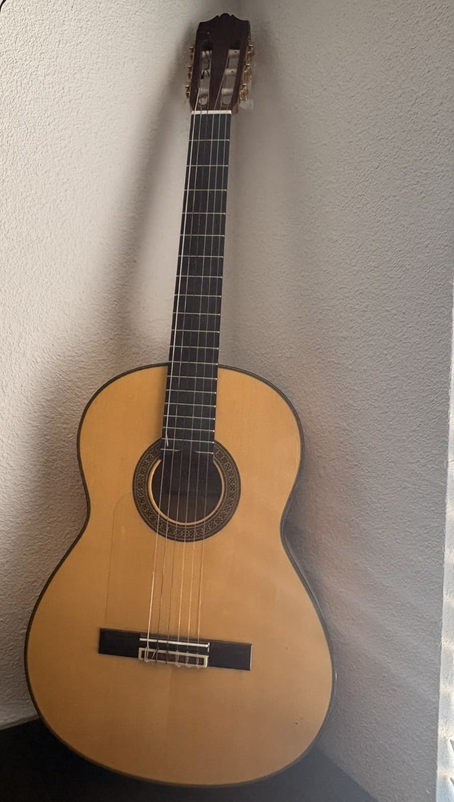 Discontinued Product Yamaha Cg-171Sf Old Model Classical Guitar with case
