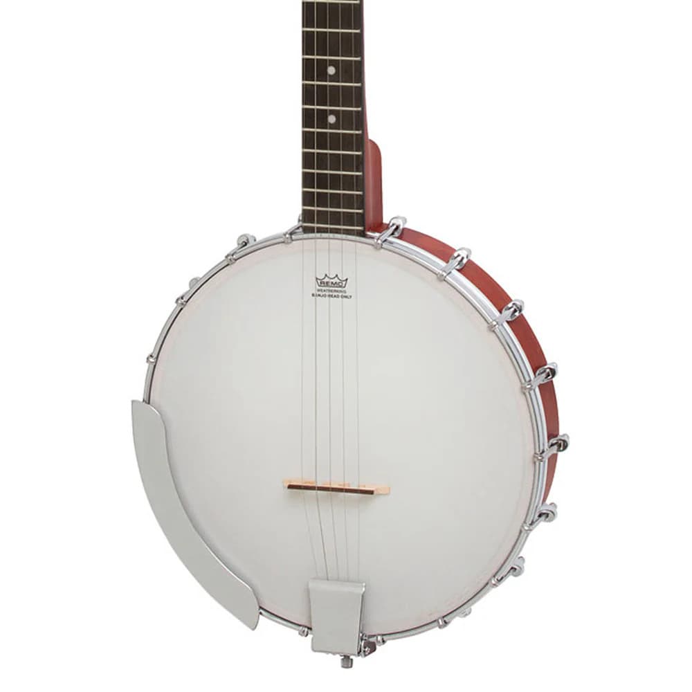 Epiphone MB-100 Banjo