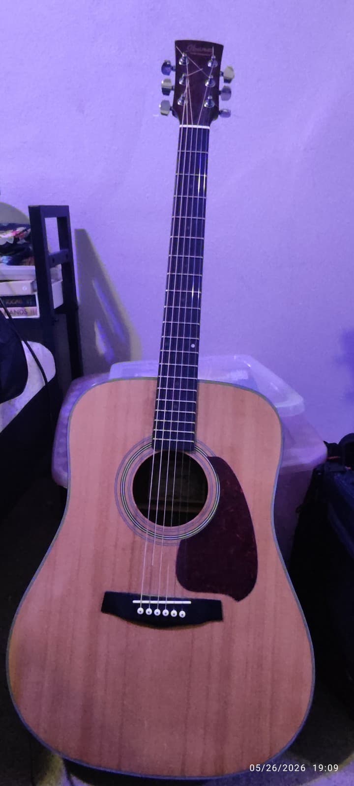 Ibanez PF-5NT Acoustic Guitar