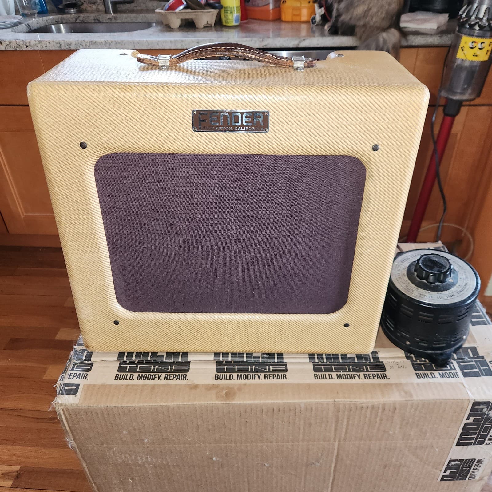 Fender Guitar
