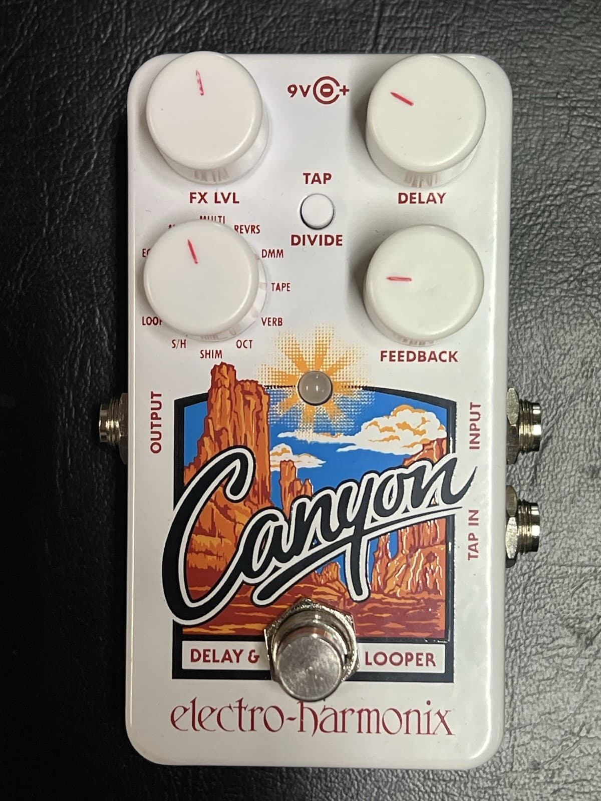Electro-Harmonix Canyon Delay Reverb Looper Echo Tape Pedal for Electric Guitar