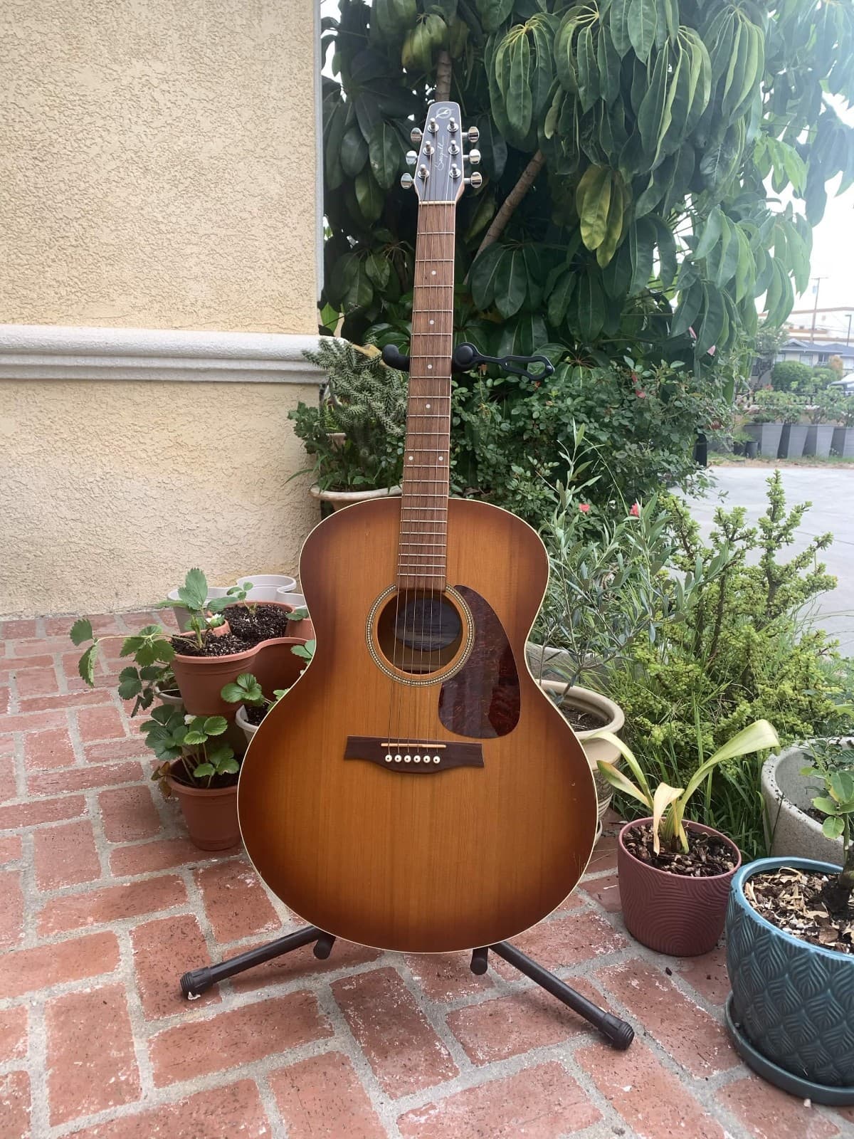 Seagull Entourage Mini Jumbo Acoustic Guitar - Rustic Burst