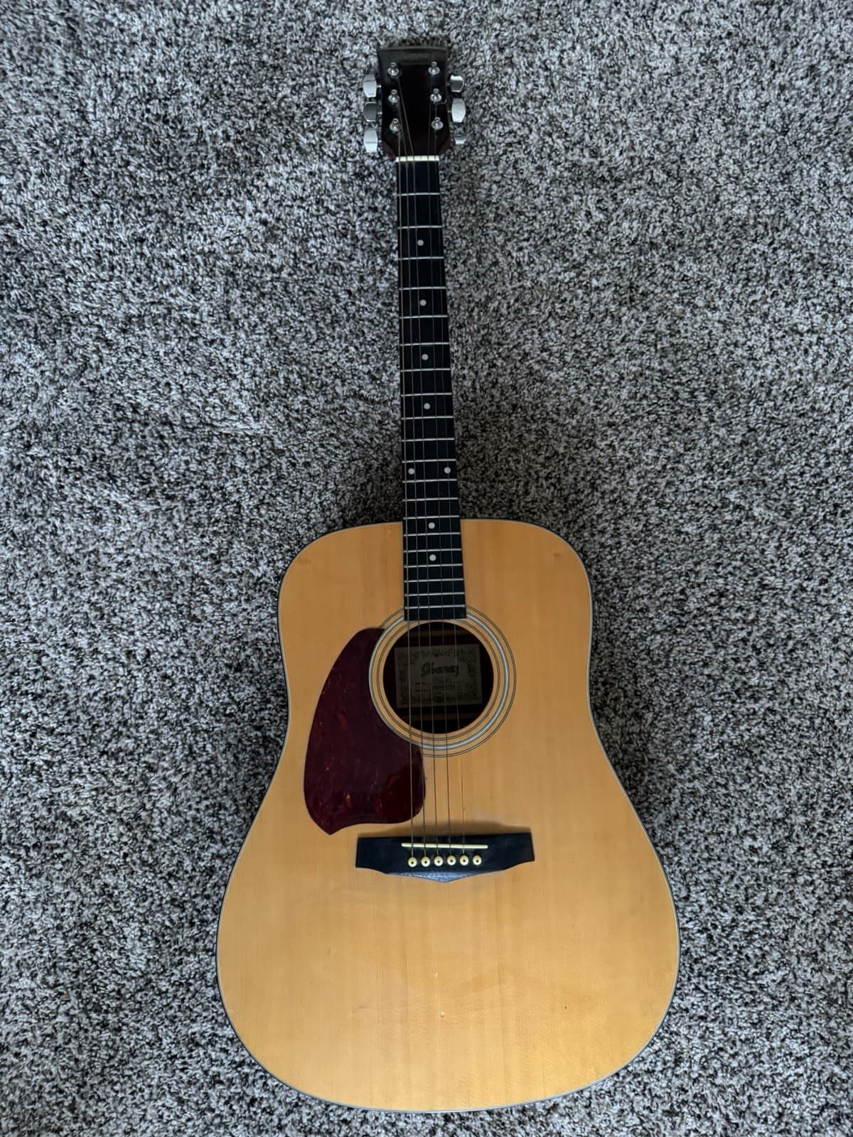Ibanez PF5NT Performance Dreadnought Acoustic Guitar