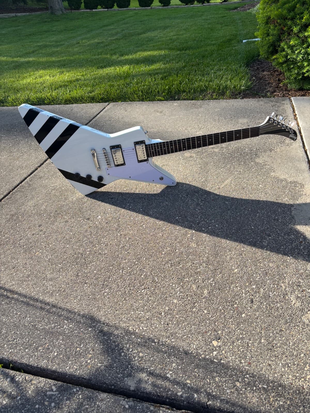 Scorpions Inspired Explorer guitar