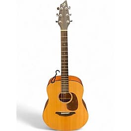 Breedlove D200SMP Passport Natural Acoustic Guitar