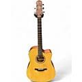 Crafter Guitars HD100CE Natural Acoustic Electric Guitar