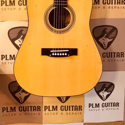 Checkmate Rainbow Acoustic Guitar 1960-1980