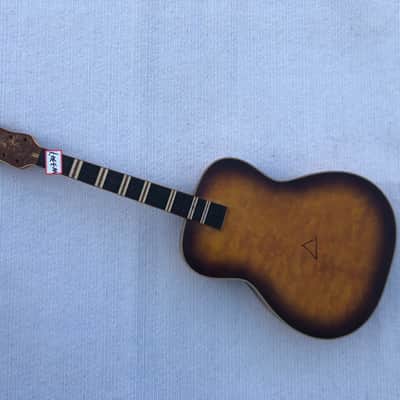 Custom DIY Dobro Resonator Guitar DIY Project