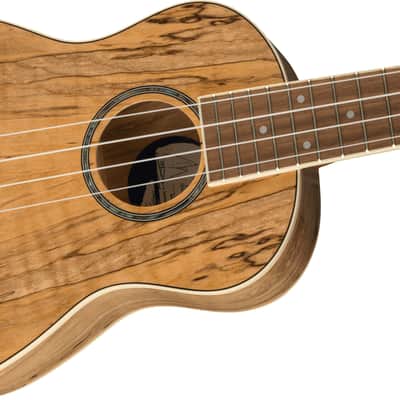 Fender Zuma Exotic Concert Ukulele 2022 - Present - Natural Spalted Maple