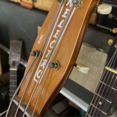 WHITE DANELECTRO WATERSLIDE DECAL