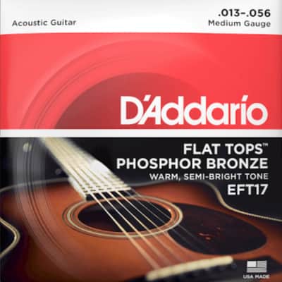 D'Addario EFT17 Flat Tops Phosphor Bronze Acoustic Guitar Strings, 13-56