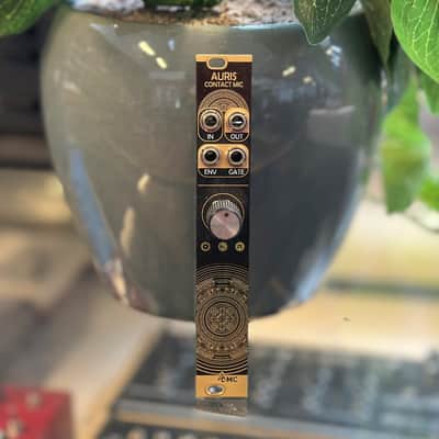 After Later Audio Auris (Mutable Instruments Ears Clone)