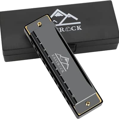 EastRock Blues Harmonica Mouth Organ 10 Hole C Key with Case, Diatonic Harmonica for Professional Player, Beginner, Students gifts, Adult, Friends, Gift Black