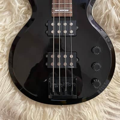 Hamer Sunburst F/T 2000βs - Dark oxblood black