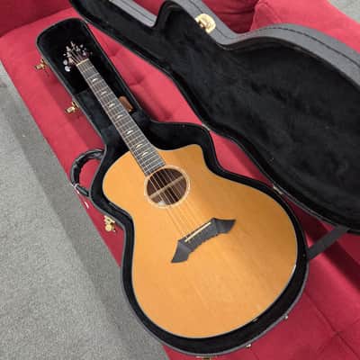 Breedlove Focus Acoustic Electric with Case 2005 - Natural
