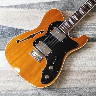 Fender ’72 Telecaster Thinline Deluxe TN72B/MH CIJ Mahogany Body w/ Wide Range 2006-2008 Japan Store Order Rare