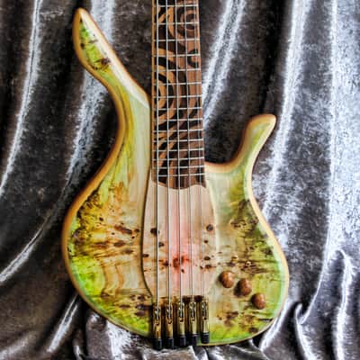 GB Liuteria Boutique Sensus bass 5 string tribal edition