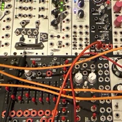 Befaco Sampling Modulator Eurorack Synthesizer Module 2010 - Present - Black