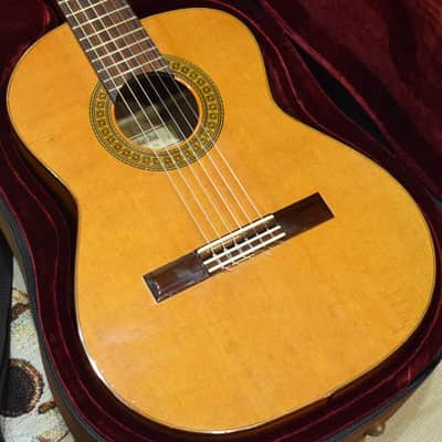 Yukinobu Chai No.8 Alto Guitar