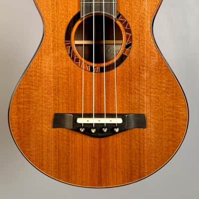 Hive Hornet Redwood & Ebony Tenor Ukulele 2015