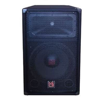 Patron Pro Audio PS1700 Single 15" 2 Way Speaker 1700W Max Peak 2" Driver