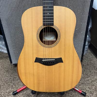 Taylor Academy 10e 2024 - Present - Natural