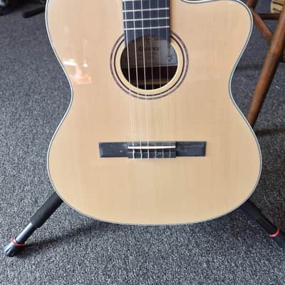Alvarez RC26HCE Regent Classical Acoustic Electric w/Deluxe Gig bag - Pre-owned