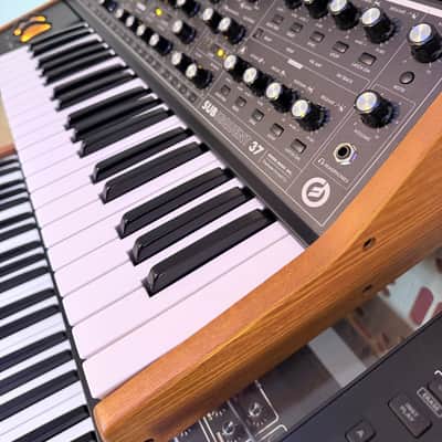 Moog Subsequent 37 Analog Synth 2017 - Present - Black