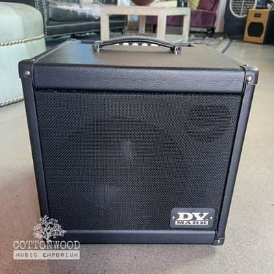 DV Mark AC 101 Acoustic Combo Amplifier (Black) - Excellent Condition