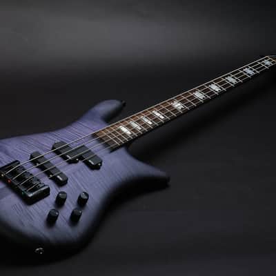Spector Euro 4 LX - Trans Black Stain Matte