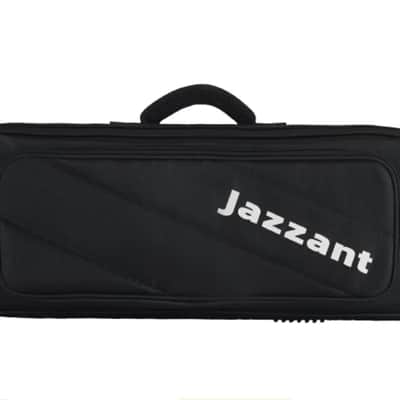 BAG JAZZANT For AKAI MPKminiplus MIDI Keyboard Pedal Bag Custom Made Luxury